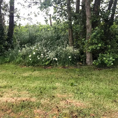 Дом отдыха River View Pod *